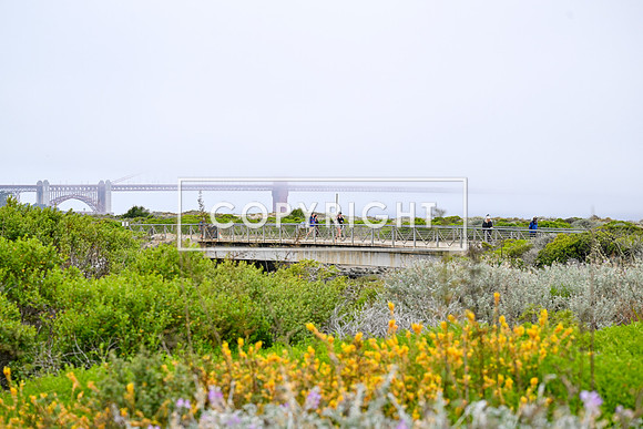 CoastalSFHalfDay2026-801