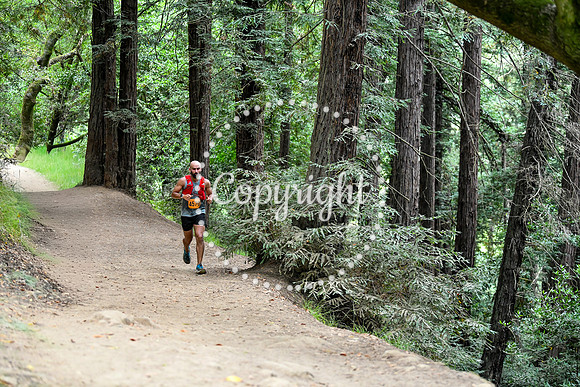 Coastal_RedwoodSummer-039