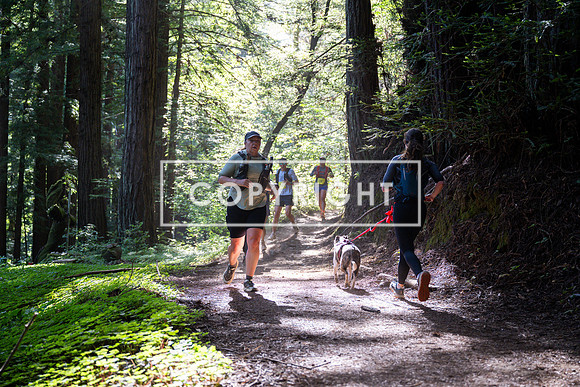 Coastal_SanLorenzo2026-804