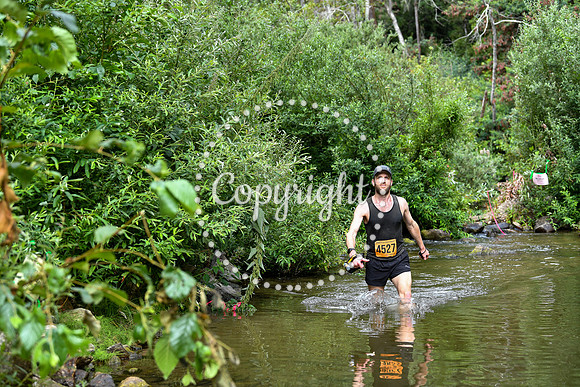 Coastal_San Lorenzo_25-1175