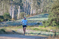 Scena_Skyline_Goldenrod-016