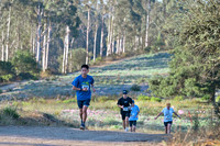 Scena_Skyline_Goldenrod-018