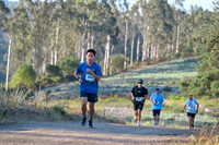 Scena_Skyline_Goldenrod-020