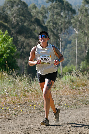Scena_Skyline_Goldenrod-557
