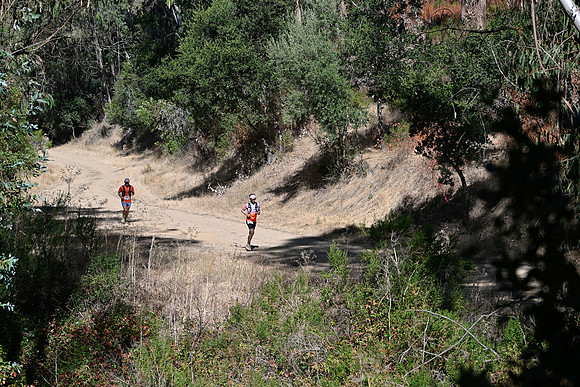 Scena_Skyline_BrandonTrail-002