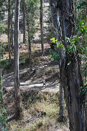 Scena_Skyline_BrandonTrail-048