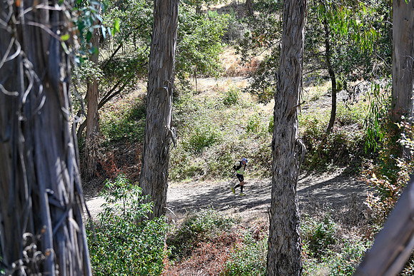 Scena_Skyline_BrandonTrail-052