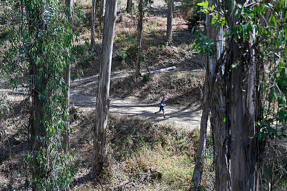 Scena_Skyline_BrandonTrail-053