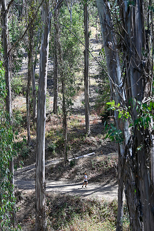 Scena_Skyline_BrandonTrail-060
