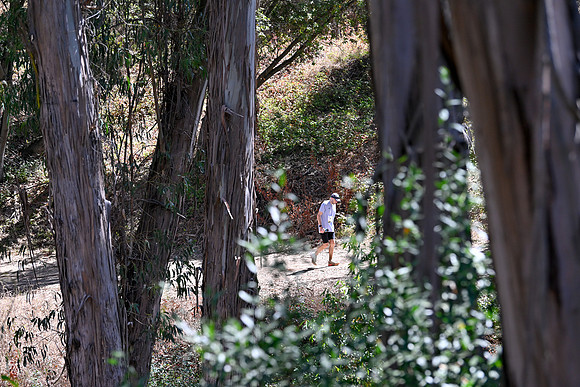 Scena_Skyline_BrandonTrail-061