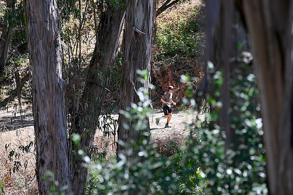 Scena_Skyline_BrandonTrail-076