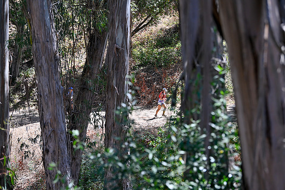 Scena_Skyline_BrandonTrail-080