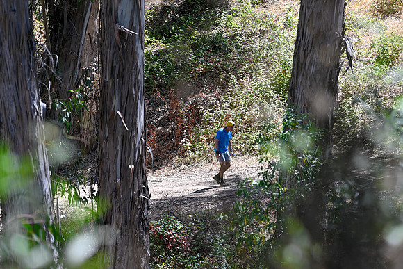 Scena_Skyline_BrandonTrail-130