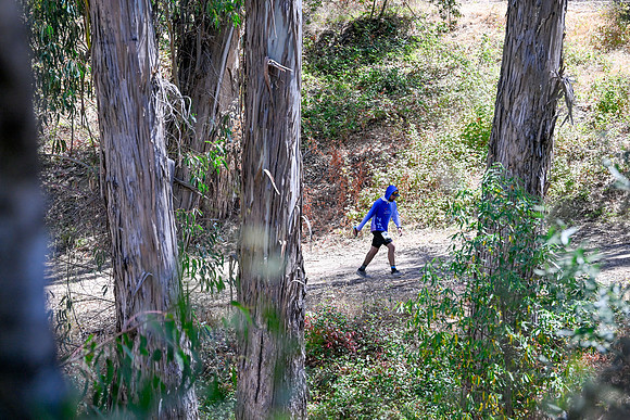Scena_Skyline_BrandonTrail-160
