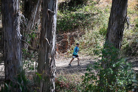 Scena_Skyline_BrandonTrail-225