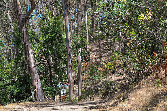 Scena_Skyline_BrandonTrail-376