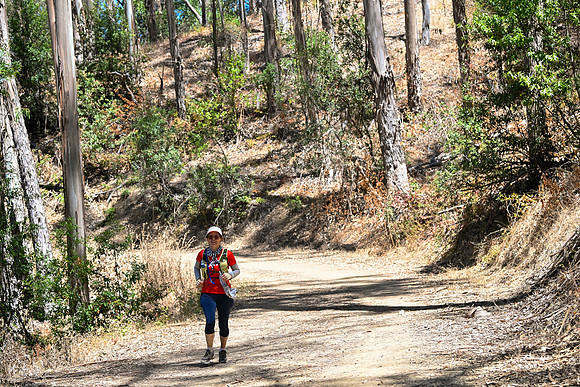 Scena_Skyline_BrandonTrail-380