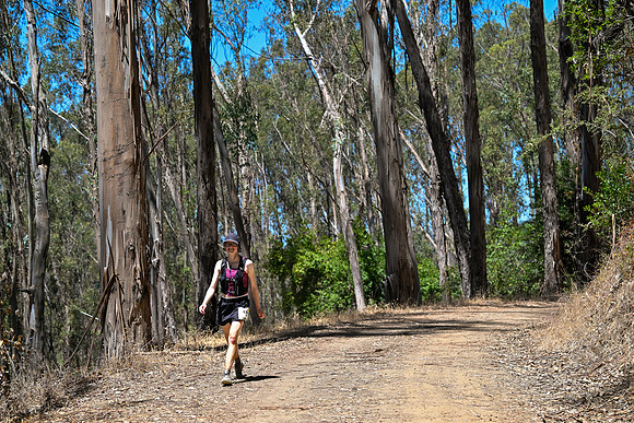 Scena_Skyline_BrandonTrail-389