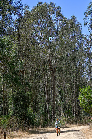Scena_Skyline_BrandonTrail-456
