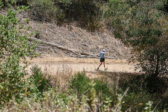 Scena_Skyline_BrandonTrail-498