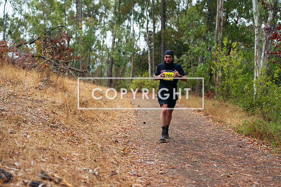 JR_Redwood Trail Race_-3