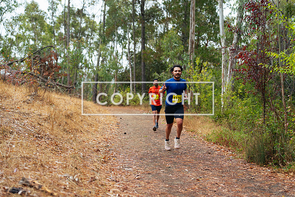 JR_Redwood Trail Race_-16