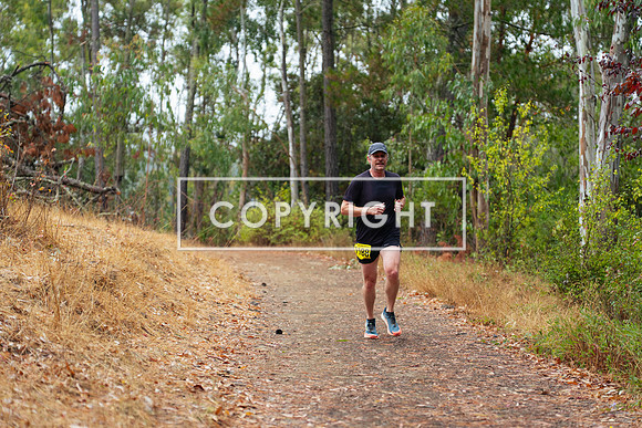 JR_Redwood Trail Race_-20