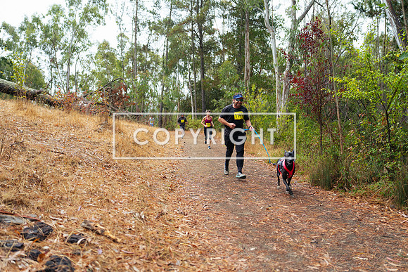 JR_Redwood Trail Race_-37