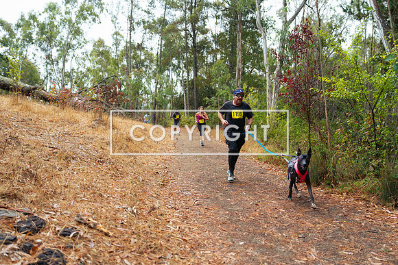 JR_Redwood Trail Race_-39