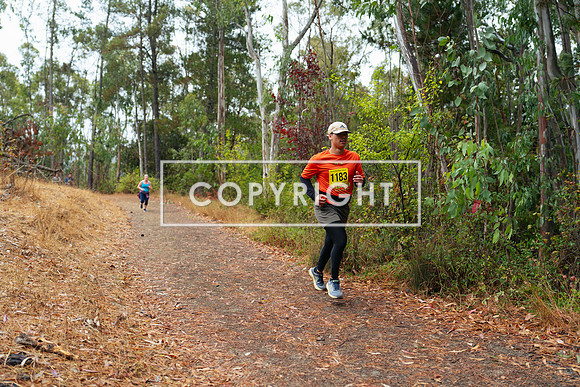 JR_Redwood Trail Race_-51