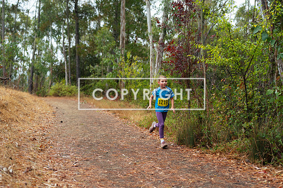 JR_Redwood Trail Race_-69