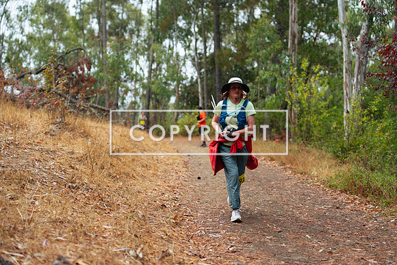 JR_Redwood Trail Race_-97