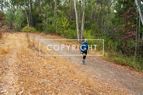 JR_Redwood Trail Race_-118