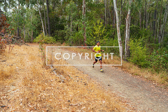 JR_Redwood Trail Race_-129