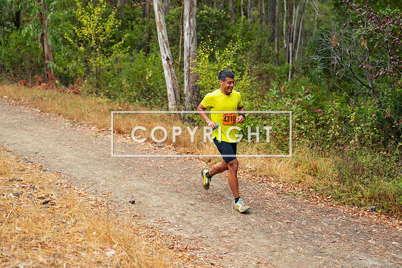 JR_Redwood Trail Race_-130