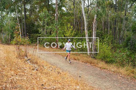 JR_Redwood Trail Race_-138