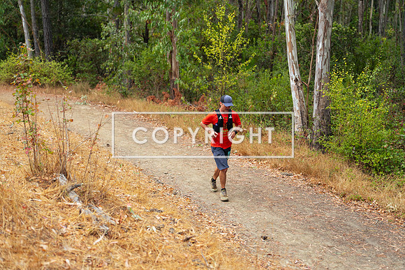 JR_Redwood Trail Race_-143
