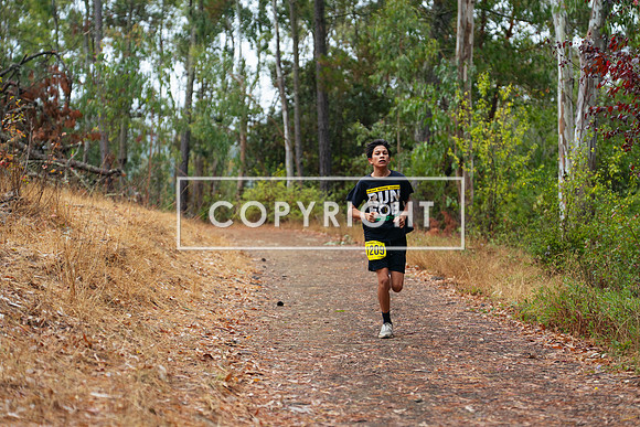 JR_Redwood Trail Race_-7