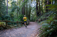 Coastal_Woodside26-003