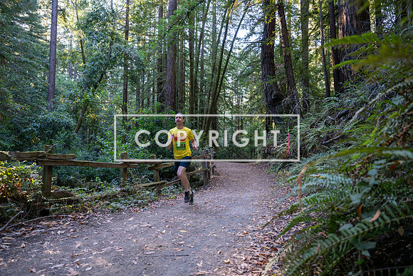 Coastal_Woodside26-003