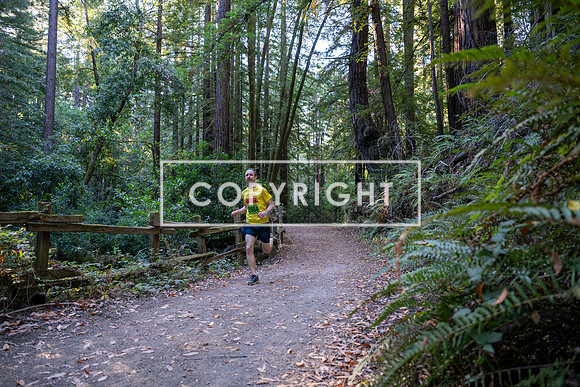 Coastal_Woodside26-002