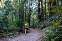 Coastal_Woodside26-001