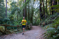 Coastal_Woodside26-005