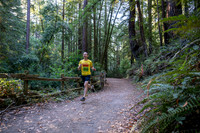 Coastal_Woodside26-004