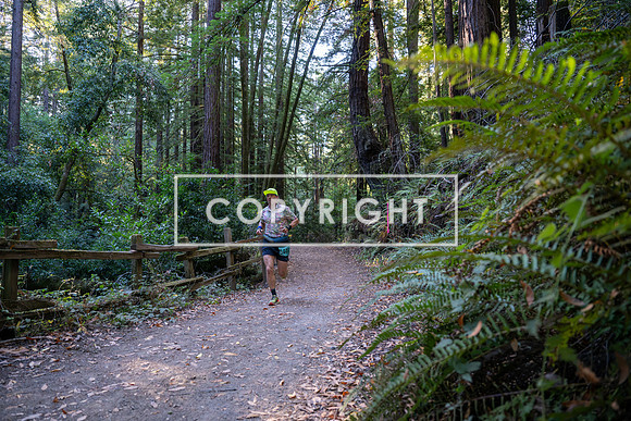 Coastal_Woodside26-007