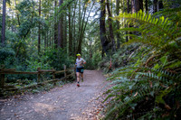 Coastal_Woodside26-006