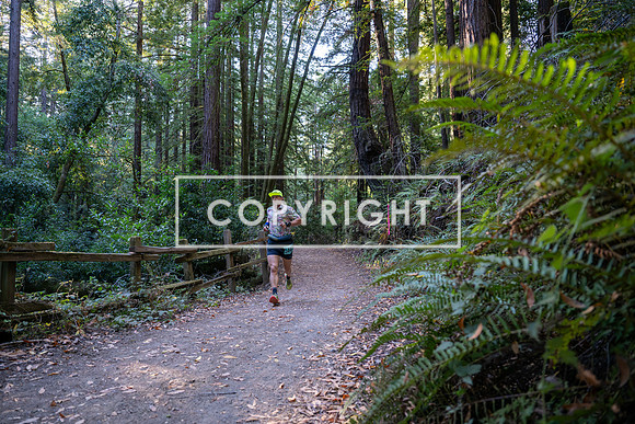 Coastal_Woodside26-006