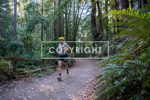 Coastal_Woodside26-009