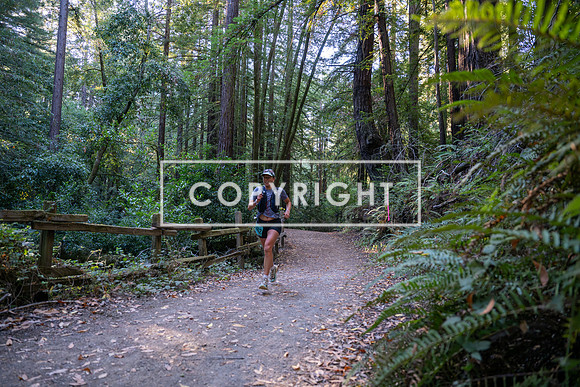 Coastal_Woodside26-010