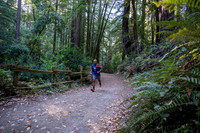 Coastal_Woodside26-014
